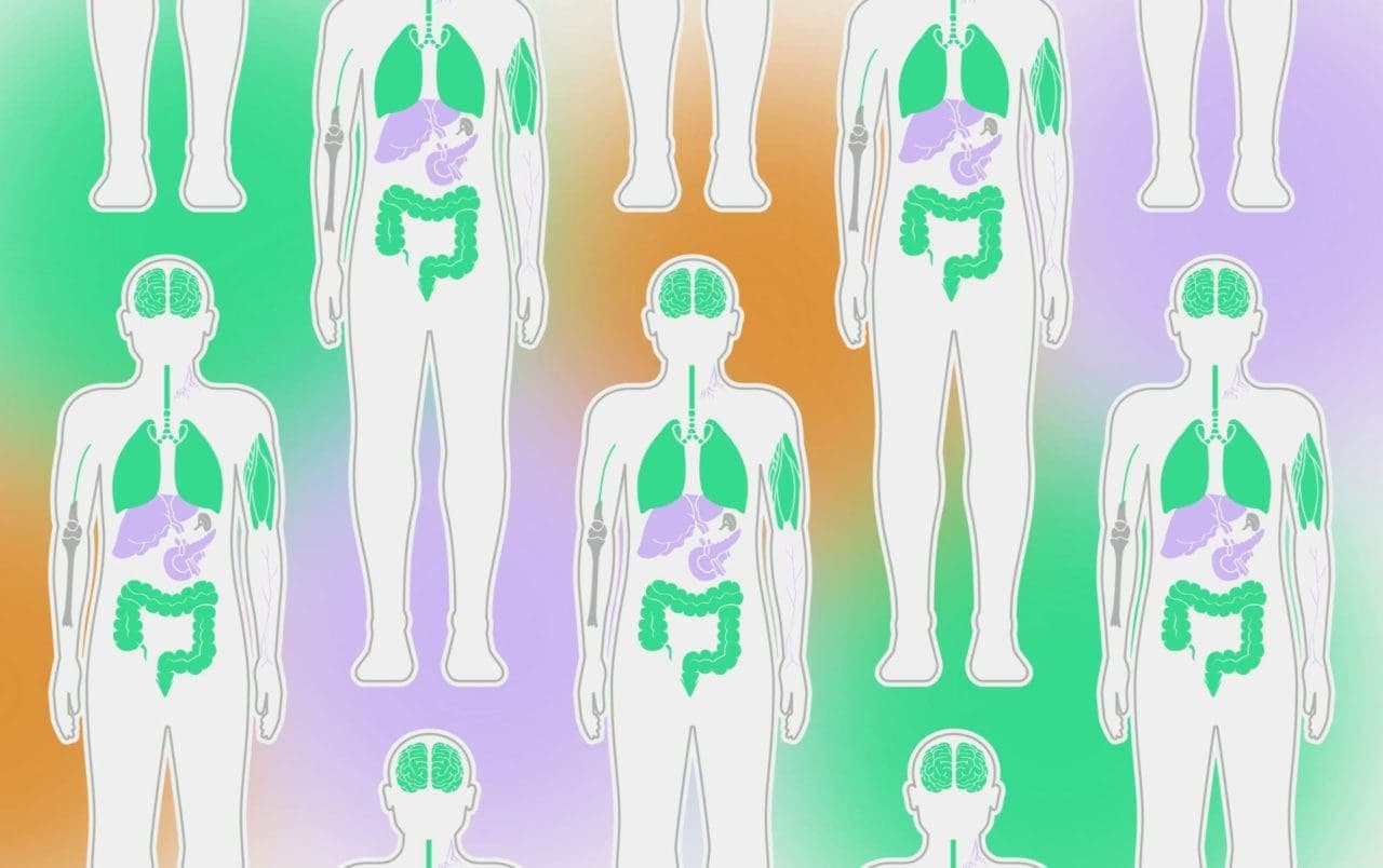 endocannabinoid system ecs