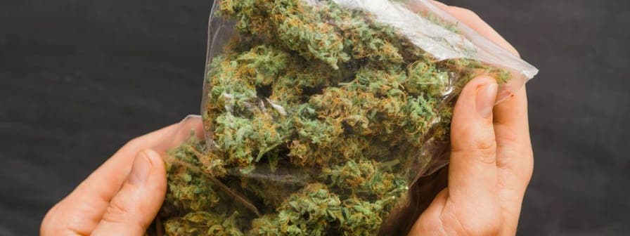 Clear plastic bag filled with cannabis buds, being held in a person's hands, representing about an ounce of weed
