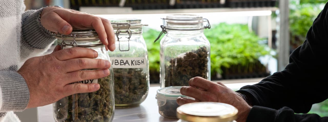 A person purchasing cannabis flower at a weed dispensary